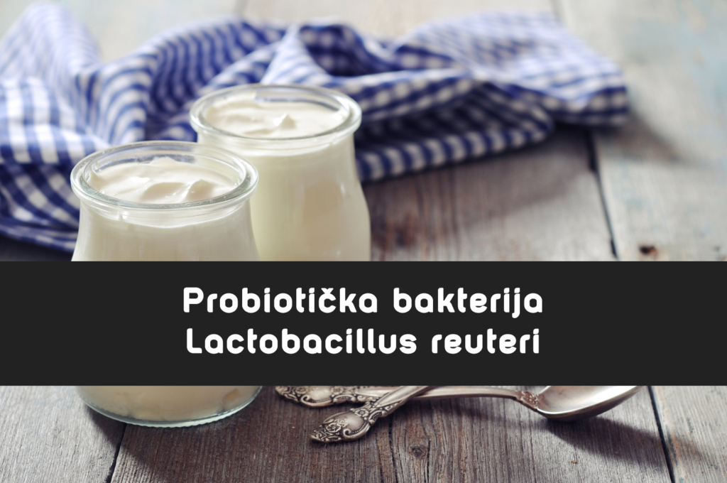 Lactobacillus reuteri