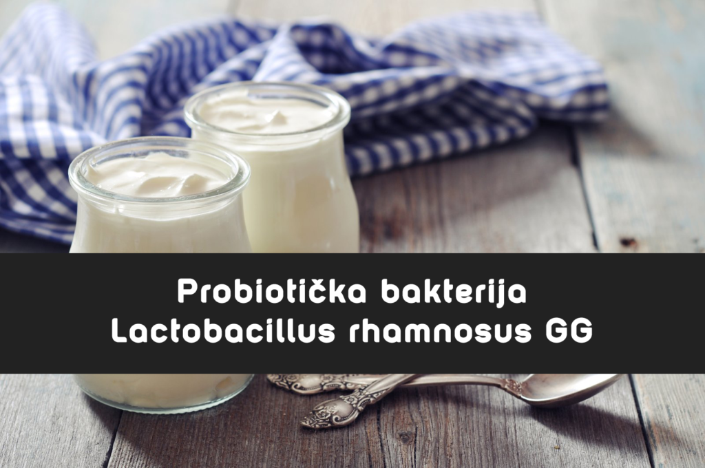 Lactobacillus rhamnosus GG